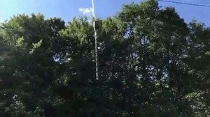 11 reactions · 7 comments |  This year's $23 million tree trimming...