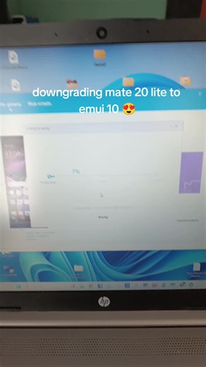 Downgrading Huawei Mate 20 Lite to EMUI 10