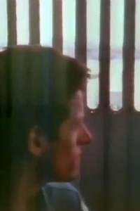 The Blue Nile: Flags and Fences - Movie