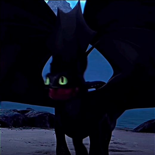 Enchanting Toothless and Hiccup Dance with Light Fury