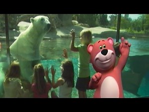 Baby Polar Bears Song | Learn Animals Songs | From Baby Genius