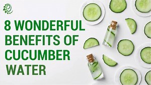 1.6K views · 53 reactions | In this video, find how cucumber water aids in detoxification and weight loss! | Organic Facts | Facebook