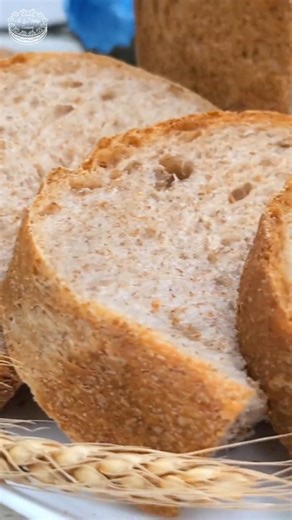 100% Whole Wheat Bread Maker Recipe 🍞