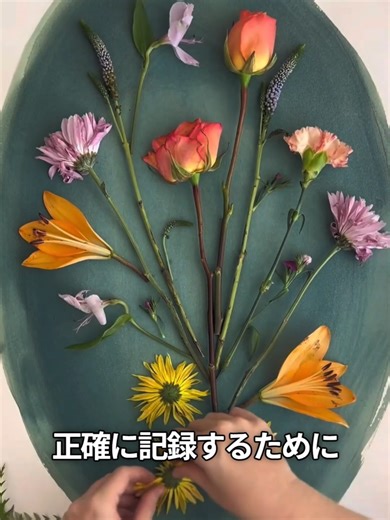 200年前のカメラなしで撮る写真の技法