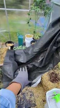 Composting to heat our greenhouse