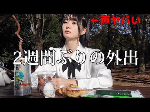【最狂】インフルから生還したので公園でぼっち飲み会してきた【ある意味神回】