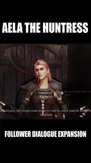 SKYRIM SHORTS I Follower Dialogue Expansion - Aela the Huntress