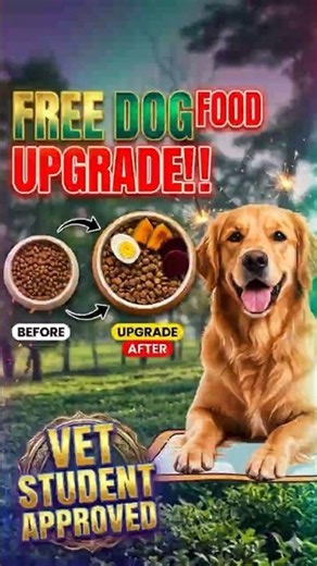 FREE!!! Dog food upgrade