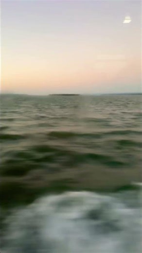 #australia #brisbane #Redland #redlandbay #queensland #island #bayisland #shorts