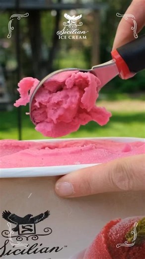 #Repost - @planbmediainc by @get_regrammer Happy long weekend 🍨🍦🍧 Powered by Sicilian Ice Cream Via #Repost - @sicilianicecream Sicilian Ice Cream at Home 🏡 Edition Featuring Raspberry Sorbet Your long weekend forecast 🍨 💚🤍❤️ Explore our products 💻 sicilianicecream.com 💚🤍❤️ #raspberrysorbet #Sorbet #sorbetto #sicilianicecream #gelato #icecream #sweettreats #treatyoself #butfirstdessert #dessert #yummy #lifeisgood #fypシ #explorepage #planbmediaclientlove #create #produce #communicate #p