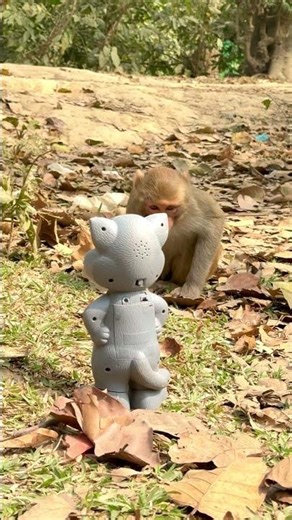 The way this monkey eats is so unique 😄🐒