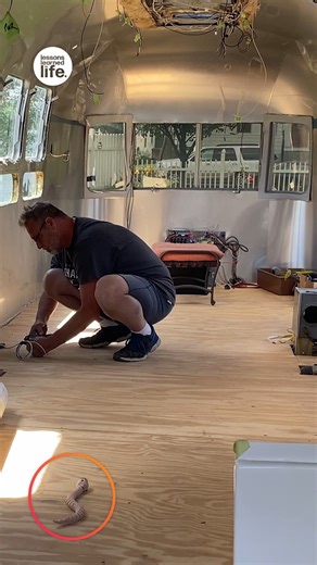 87K views · 390 reactions | He RAN for his life! 藍 | Lessons Learned In Life | Facebook