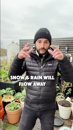 Gardening tips to protect your plants from frost