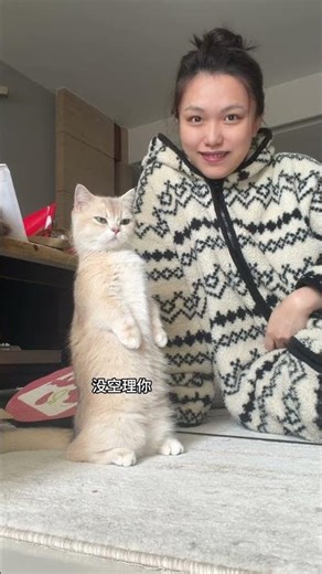 Detective Kitten's Return: Unraveling Mystery in Meow-Tastic Adventure