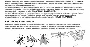 Cladogram .pdf