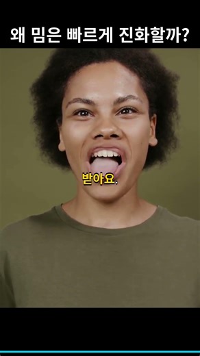 왜 밈은 빠르게 진화할까?