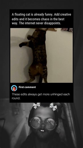 Photoshop Battle Turned This Cat Magical