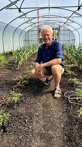 13K views · 688 reactions | Summer is on the way. Two weeks ago this was full of winter salad plants. Cucumbers still to go in once the cold nights finish mid-week. No dig, compost mulch | Charles Dowding No Dig Gardening | Facebook