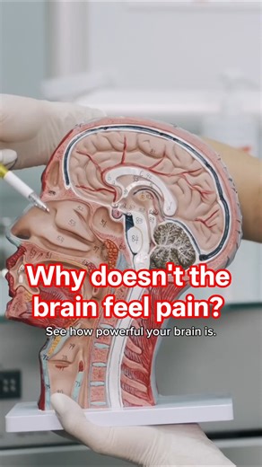 3 Mind-Blowing Facts About Human Brain! 🧠 | Psychology #Shorts