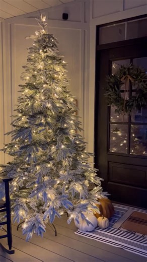 𝐓𝐚𝐦𝐦𝐲 🌿Lavender Brook Home🌿 on Instagram: "Pre-Lit Flocked Christmas Tree for the Porch ❄️✨ This season, I transformed my porch with a pre-lit flocked Christmas tree that feels like it’s been dusted with fresh snow. I gently pushed the branches down to create that heavy, snowy look, giving the tree a full, luxurious shape that’s perfect for capturing the magic of Christmas. This hinged tree with 2643 tips, 400 lights, and 10 lighting functions comes in warm white and multi-color options,