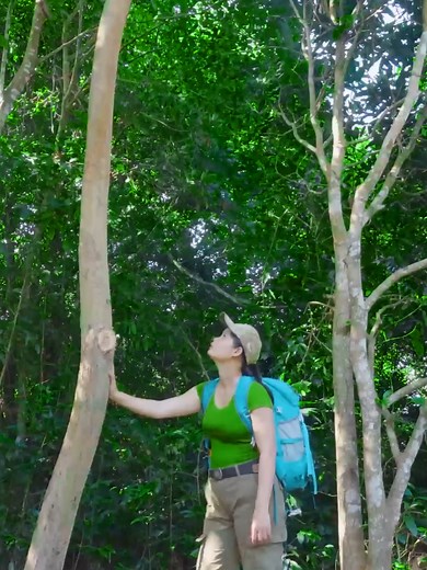 Master Primitive Skills for Survival Camping Adventures