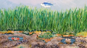 Blue crabs are the Chesapeake Bay’s signature crustacean. They are delicious to eat, support commercial and recreational fisheries, and are a key piece in the Bay’s food web. They are also fascinating marine animals that are negatively impacted by pollution in the Bay. Join CBF Virginia Field Manager Ken Slazyk to learn about blue crabs’ key features and their life cycle. Take it a step further and complete the Blue Crab 101 Investigation to learn more about this important species: https://www.c