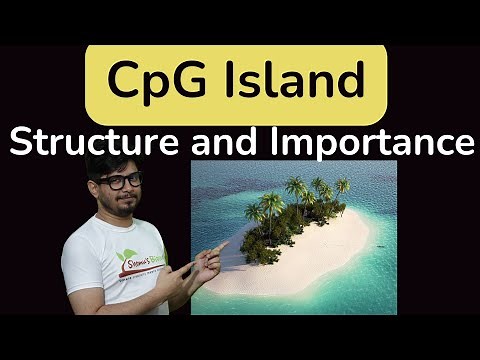 CpG Island methylation | Role of cpg island in DNA methylation | cpg islands csir net