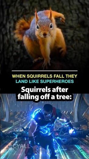 Squirrel moment 🐿️