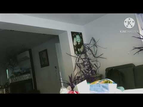 Ông Tho in Lost Effect