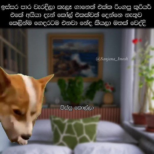 Funny Memes Collection for WhatsApp Status
