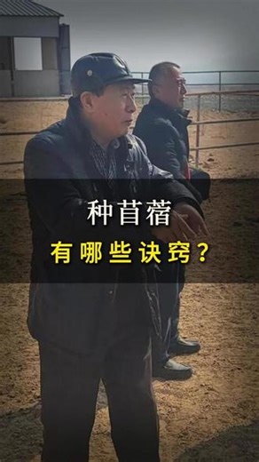 苜蓿喂牛的核心好处包括‌提供高营养、促进生长、提高产奶量、改善消化健康及增强免疫力‌。那么种苜蓿要注意什么？！#苜蓿 #喂牛 #草 #料 #科学养牛 @抖音 @抖音三农 @DOU 上热门