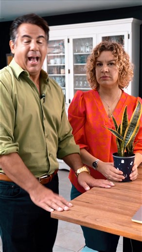 Avec Alexandre Aubry astrologue on vous partage nos interprétations de l'horoscope à chaque semaine ! Et en ce 21 Avril, c'est le tour des Taureau ;) | Avec Mélanie