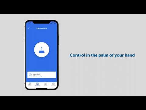 How to Use the APP for the Smart Feed
