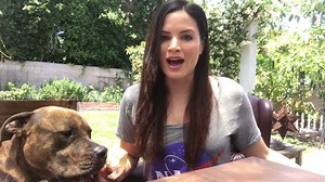 Join me on Wednesday for a live chat on Showgo for Arrow's season finale! http://bit.ly/2qgp7Ba | Katrina Law