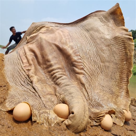 6.5M views · 46K reactions | Unbelievable technique fishing video river dry place big underground stuck fish fishing methods 2024 #fish #video | Only Fishing | Facebook