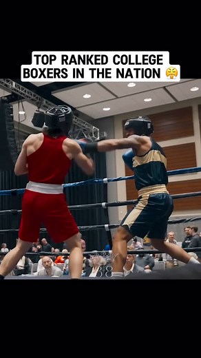 Parallel 8 | Not long ago, the BEST collegiate boxers from across the country competed for the 2025 National Collegiate Boxing Association (NCBA)... | Instagram