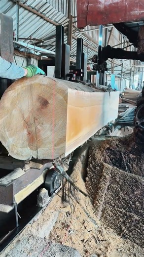 Extreme woodworking process #shorts #short #woodworking #wood