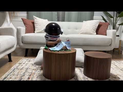 Come build with me-- Pterodactyl 🦖