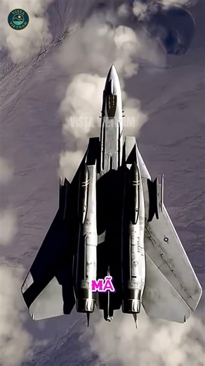 F 14 Tomcat vs Chim Cắt Đỉnh cao thiết kế cánh biến đổi! 🦅✈️ #Aviation #Shorts #Military #wildlife