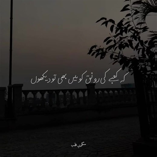 Naat Vocals Day 48 — Traditional Islamic Naat (A Cappella)