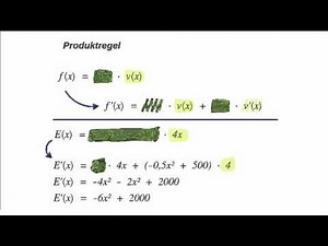 Differentialrechnung - Ableitungen