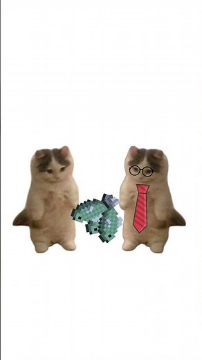 Steuern-erklärt von Katzen.