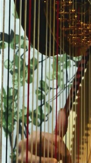 Experience #ludovicoeinaudi #piano #harp