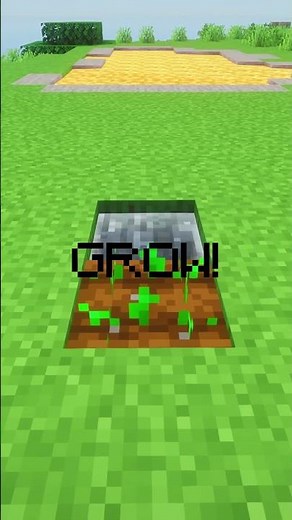 How to grow Wheat in 2026 (Full Tutorial) (No Mods)
