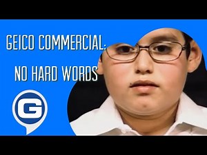 GEICO Commercial - No Hard Words 🐝🗒️ (2005)