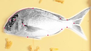 3.3K views · 74 reactions | Oh my! What big teeth you have! 醴⁣ ⁣ When...