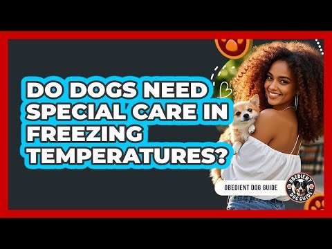 Do Dogs Need Special Care In Freezing Temperatures?