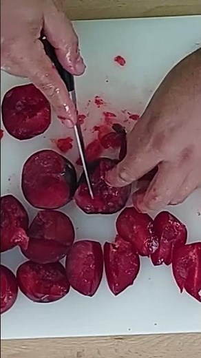 Homemade plum tart recipe. Easy to make