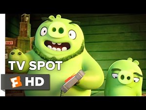 The Angry Birds Movie TV SPOT - Meet the Pigs (2016) - Bill Hader, Jason Sudeikis Movie HD
