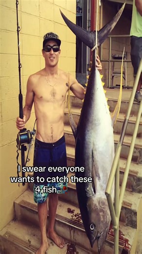 Learn How to Catch Big Fish Easily